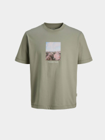 Футболки и поло JACK & JONES NORREBRO PHOTO TEE модель 12291022_Seagrass Фото