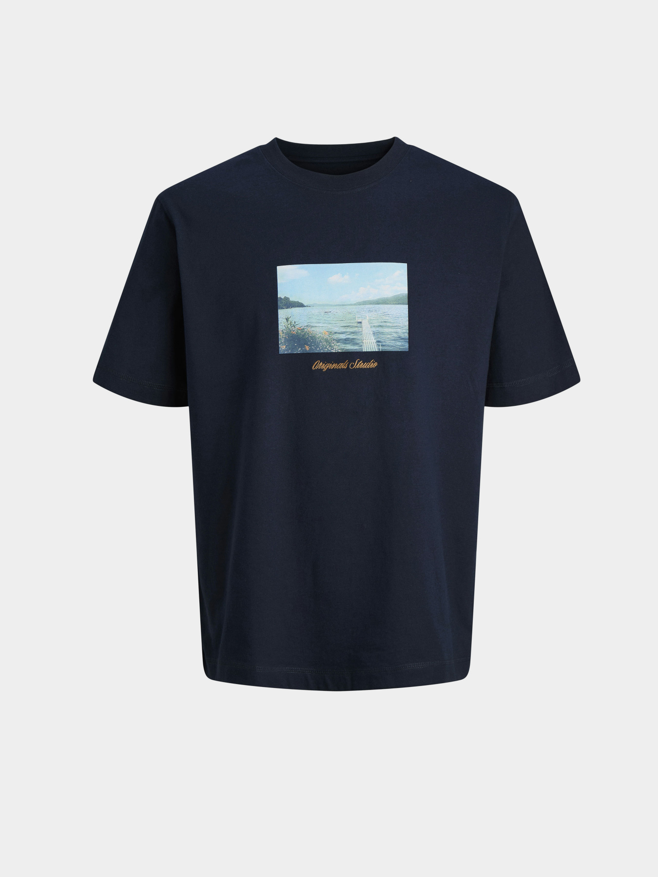 Футболки и поло JACK & JONES NORREBRO PHOTO TEE модель 12291022_Sky Captain Футболки и поло JACK & JONES NORREBRO PHOTO TEE модель 12291022_Sky Captain Фото