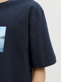 Футболки и поло JACK & JONES NORREBRO PHOTO TEE модель 12291022_Sky Captain Фото
