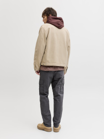 Штани JACK & JONES KANE FRANK CARGO модель 12291962_Asphalt Фото