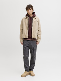 Штани JACK & JONES KANE FRANK CARGO модель 12291962_Asphalt Фото