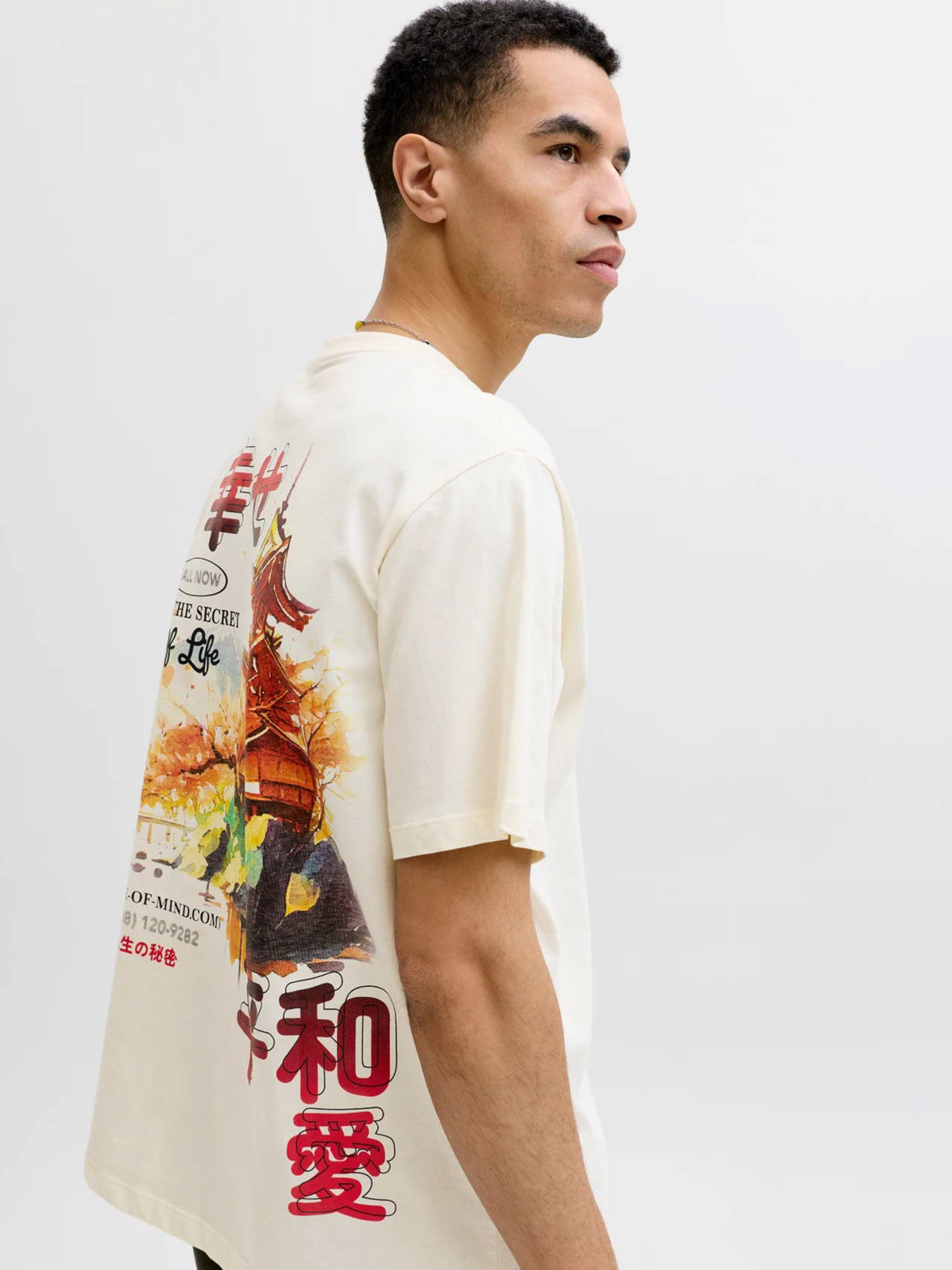 Футболки и поло JACK & JONES BIG JAPAN TEE модель 12293428_Antique White RED AW Футболки и поло JACK & JONES BIG JAPAN TEE модель 12293428_Antique White RED AW Фото