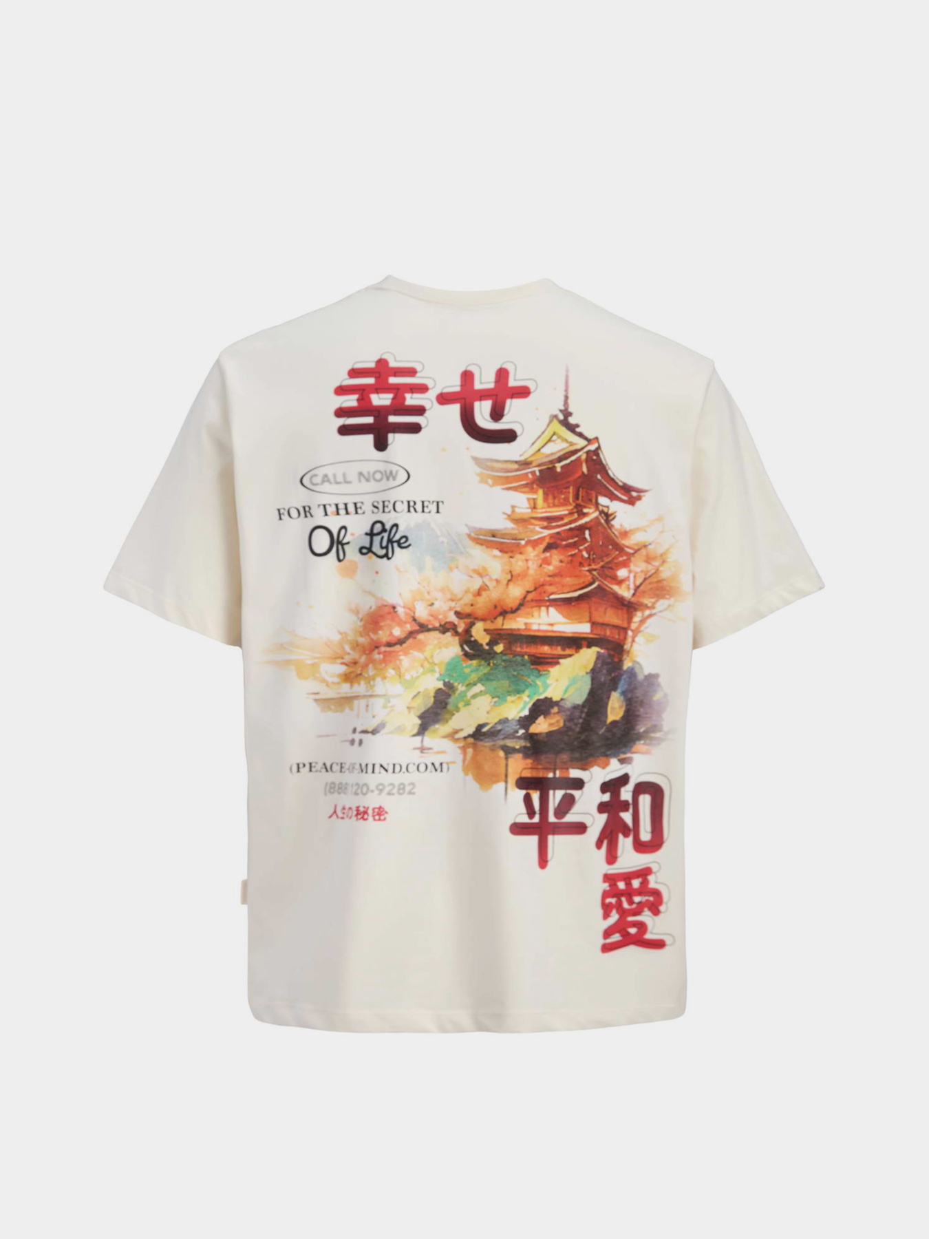 Футболки и поло JACK & JONES BIG JAPAN TEE модель 12293428_Antique White RED AW Футболки и поло JACK & JONES BIG JAPAN TEE модель 12293428_Antique White RED AW Фото