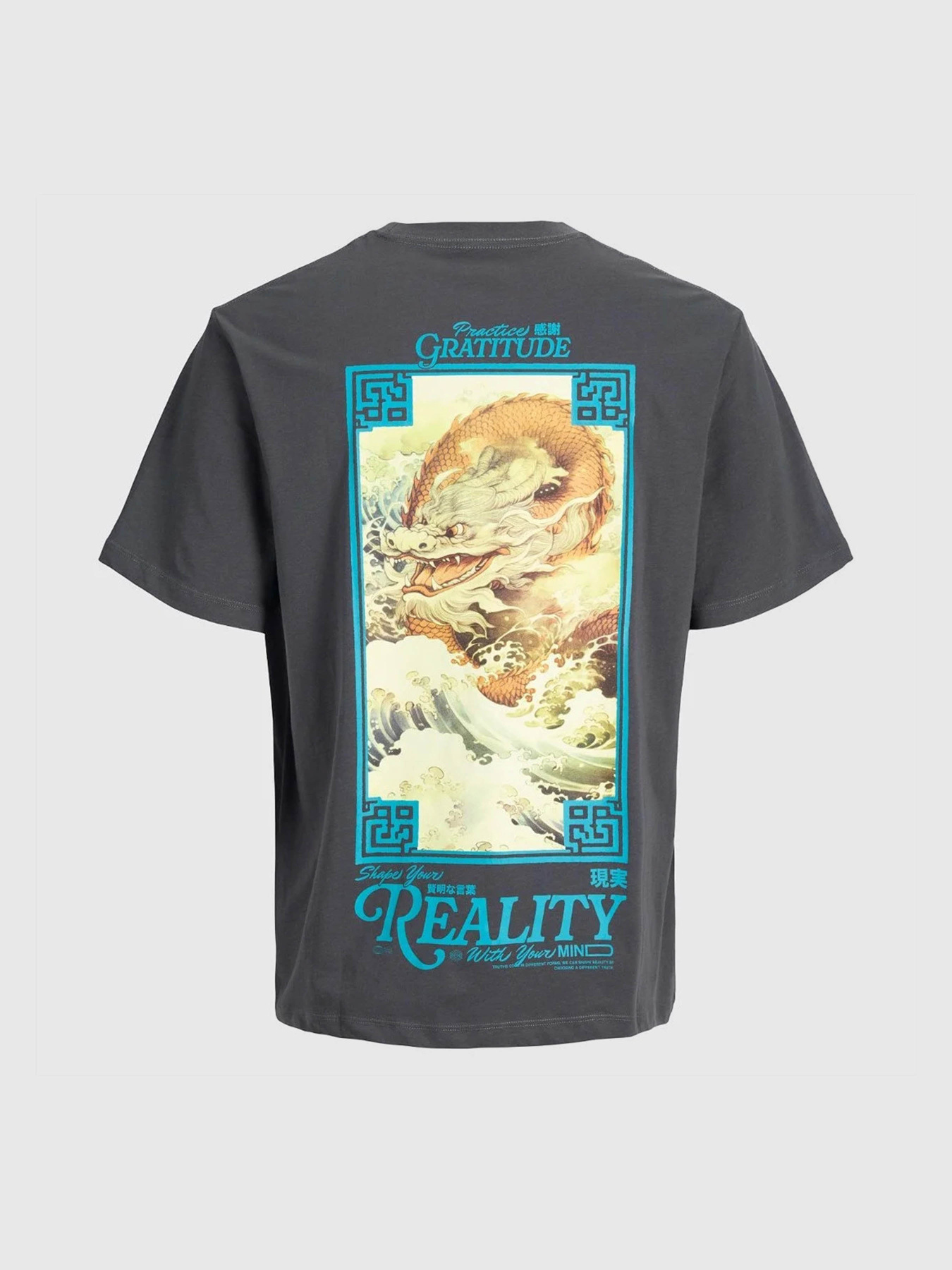 Футболки і поло JACK & JONES BIG JAPAN TEE модель 12293428_Asphalt Футболки і поло JACK & JONES BIG JAPAN TEE модель 12293428_Asphalt Фото