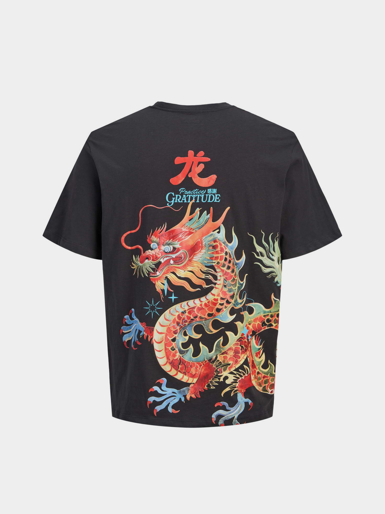 Футболки і поло JACK & JONES BIG JAPAN TEE модель 12293428_Phantom Фото
