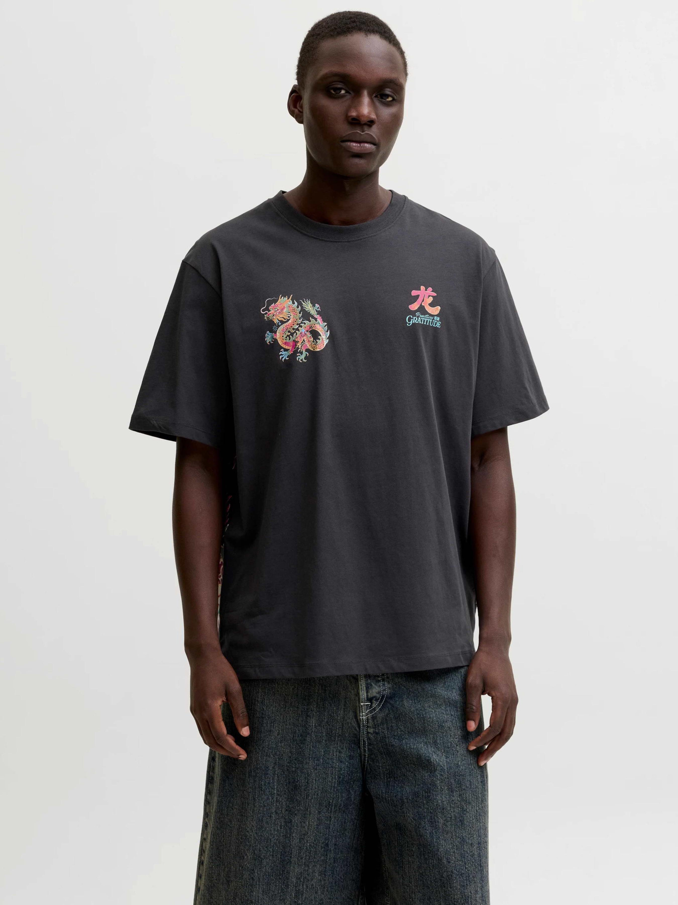 Футболки і поло JACK & JONES BIG JAPAN TEE модель 12293428_Phantom Фото