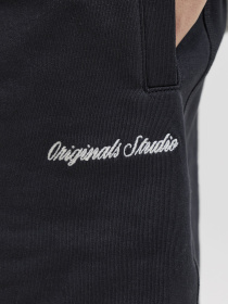 Шорты JACK & JONES KARL NORREBRO SWEAT SHORTS модель 12292565_Black Фото