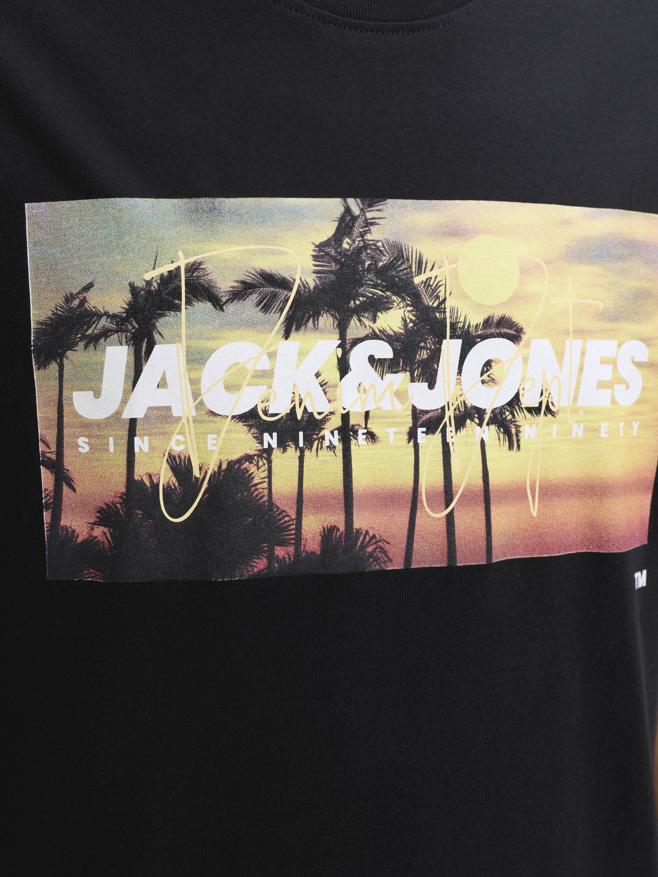 Футболки і поло JACK & JONES INDIANA TEE модель 12288112_Black Футболки і поло JACK & JONES INDIANA TEE модель 12288112_Black Фото