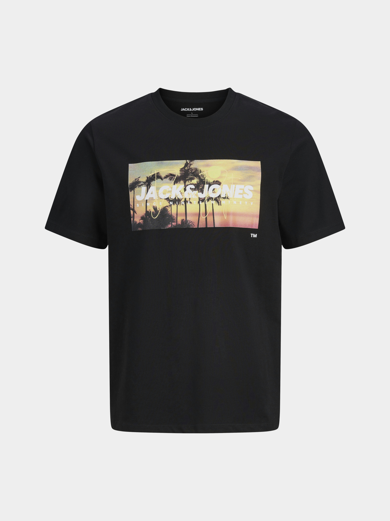 Футболки і поло JACK & JONES INDIANA TEE модель 12288112_Black Футболки і поло JACK & JONES INDIANA TEE модель 12288112_Black Фото