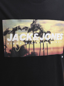 Футболки і поло JACK & JONES INDIANA TEE модель 12288112_Black Фото