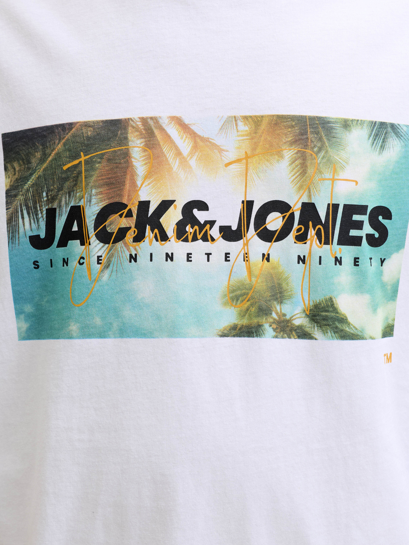 Футболки і поло JACK & JONES INDIANA TEE модель 12288112_Bright White Футболки і поло JACK & JONES INDIANA TEE модель 12288112_Bright White Фото