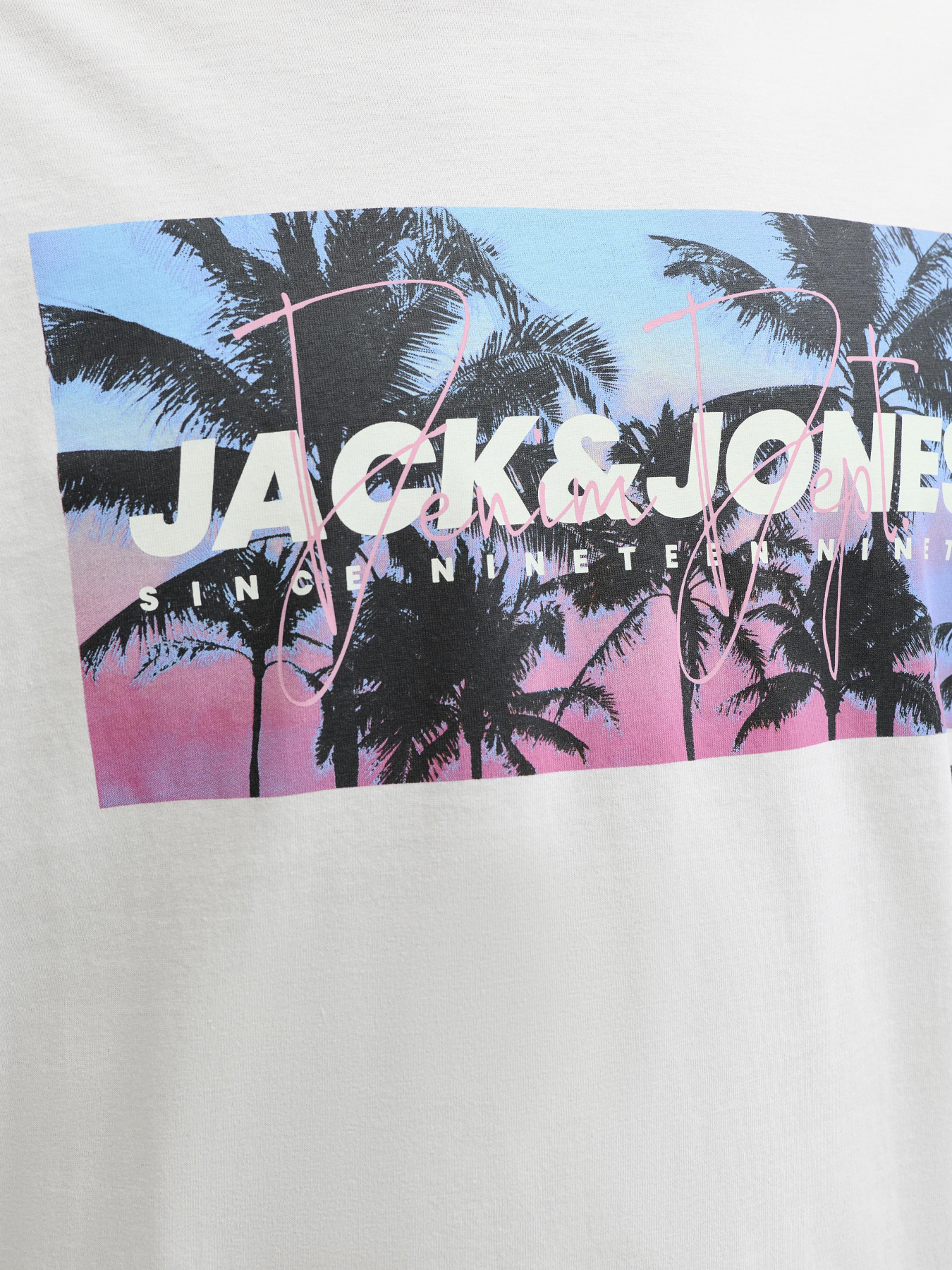 Футболки і поло JACK & JONES INDIANA TEE модель 12288112_Glacier Gray Футболки і поло JACK & JONES INDIANA TEE модель 12288112_Glacier Gray Фото