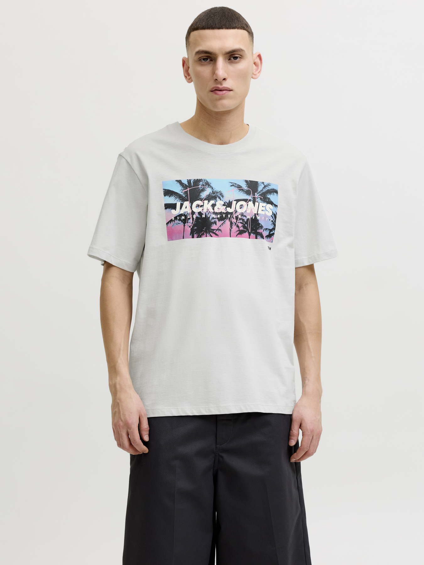 Футболки і поло JACK & JONES INDIANA TEE модель 12288112_Glacier Gray Футболки і поло JACK & JONES INDIANA TEE модель 12288112_Glacier Gray Фото