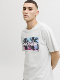 Футболки і поло JACK & JONES INDIANA TEE модель 12288112_Glacier Gray Фото