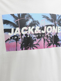 Футболки і поло JACK & JONES INDIANA TEE модель 12288112_Glacier Gray Фото