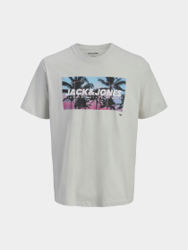 Футболки і поло JACK & JONES INDIANA TEE модель 12288112_Glacier Gray Фото