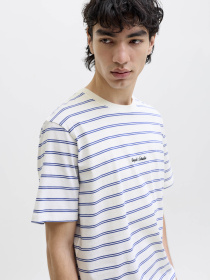 Футболки и поло JACK & JONES NORREBRO STRIPE TEE модель 12291021_Cloud Dancer Фото