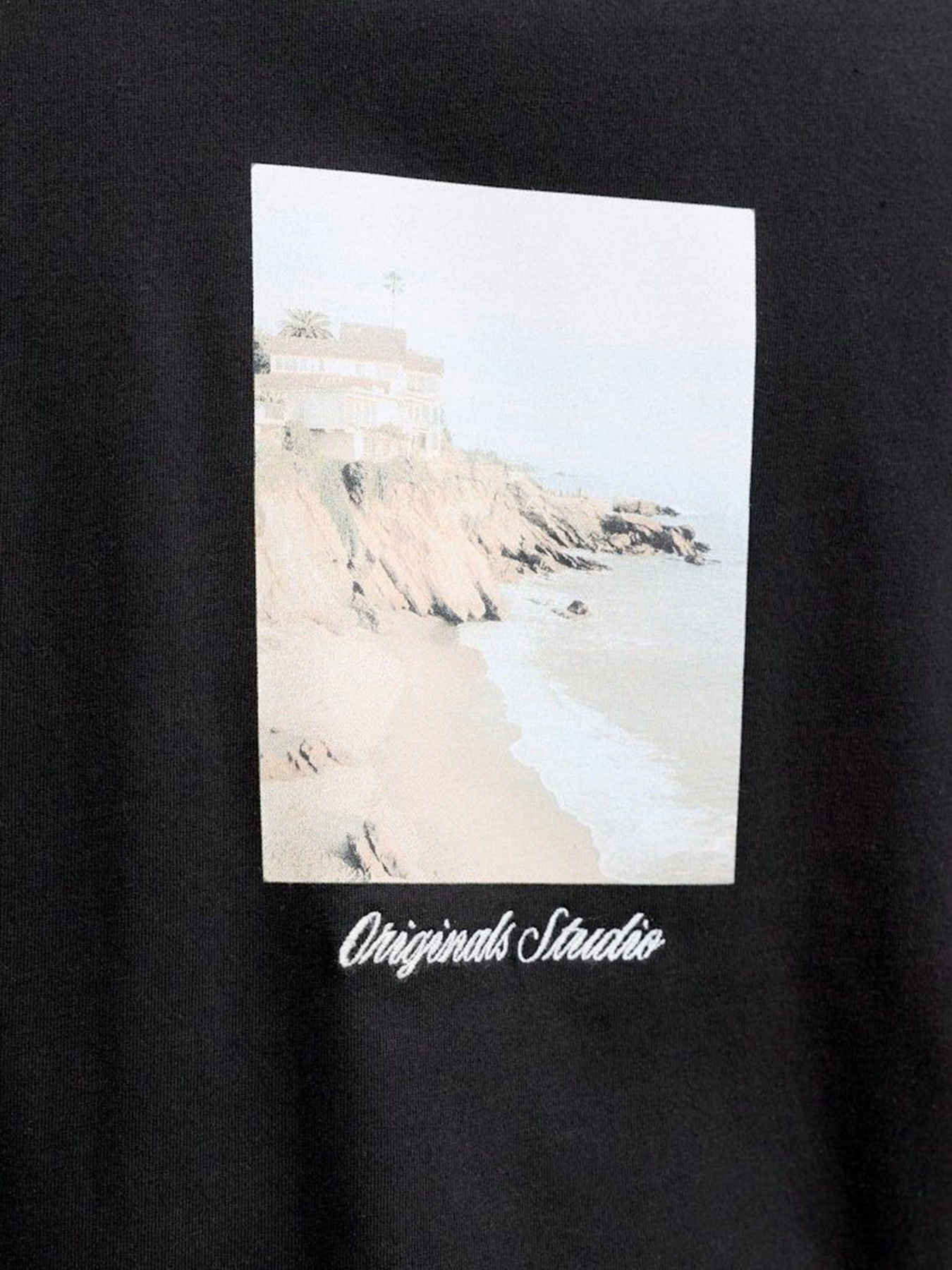 Футболки и поло JACK & JONES NORREBRO PHOTO TEE модель 12291022_Black Main2 26 Футболки и поло JACK & JONES NORREBRO PHOTO TEE модель 12291022_Black Main2 26 Фото