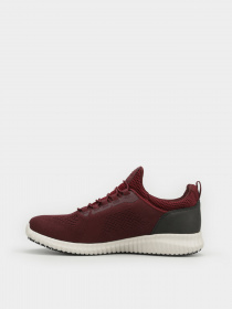 Кросівки Skechers Work Relaxed Fit: Cessnock SR модель 77188 BURG Фото