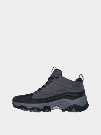 Ботинки и сапоги Skechers Terrabite Trekker модель 237461 CCBK Фото