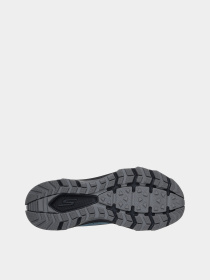 Кроссовки Skechers GO RUN TRAIL ALTITUDE 2.0 модель 220763 CCBK Фото