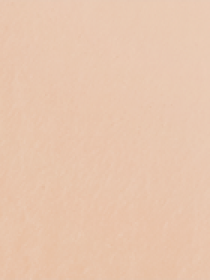 CC крем корректор Skin Trainer CC Blur Perfect Skin Optical Corrector KIKO MILANO модель KS0200106900044 Фото