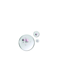 Олія для нігтів & кутикули Biphasic Nail Oil KIKO MILANO модель KM000000574001B Фото