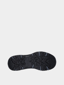 Ботинки и сапоги Skechers TREGO модель 167882 BLK Фото