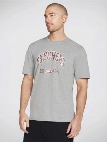 Футболки и поло Skechers Prestige модель TS19 LTGY Фото