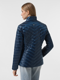 Куртки и дубленки Skechers Goshield Shine модель JA150 TLNV Фото