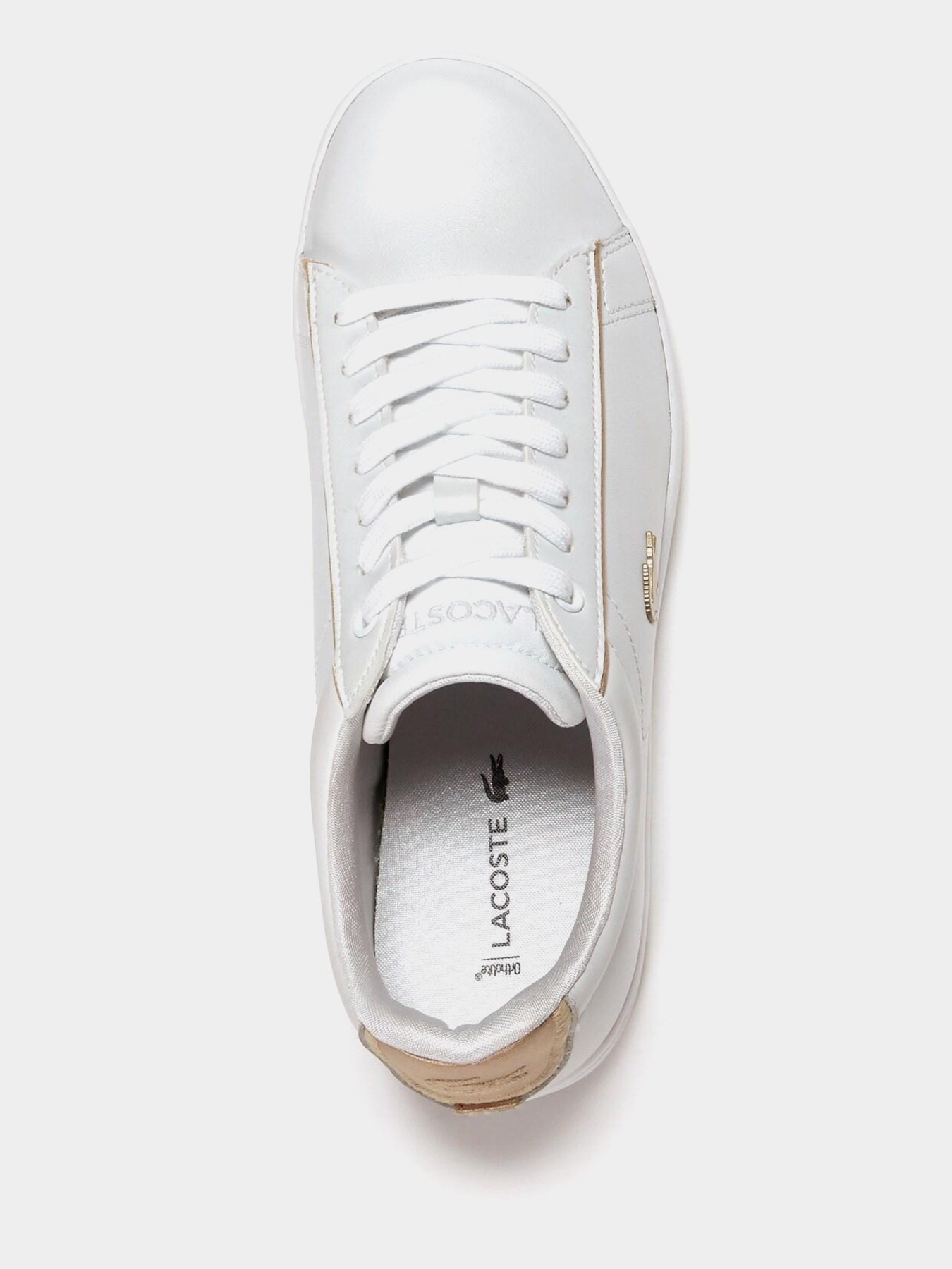 Кеди Lacoste Carnaby Evo модель 735SPW0013216 Фото