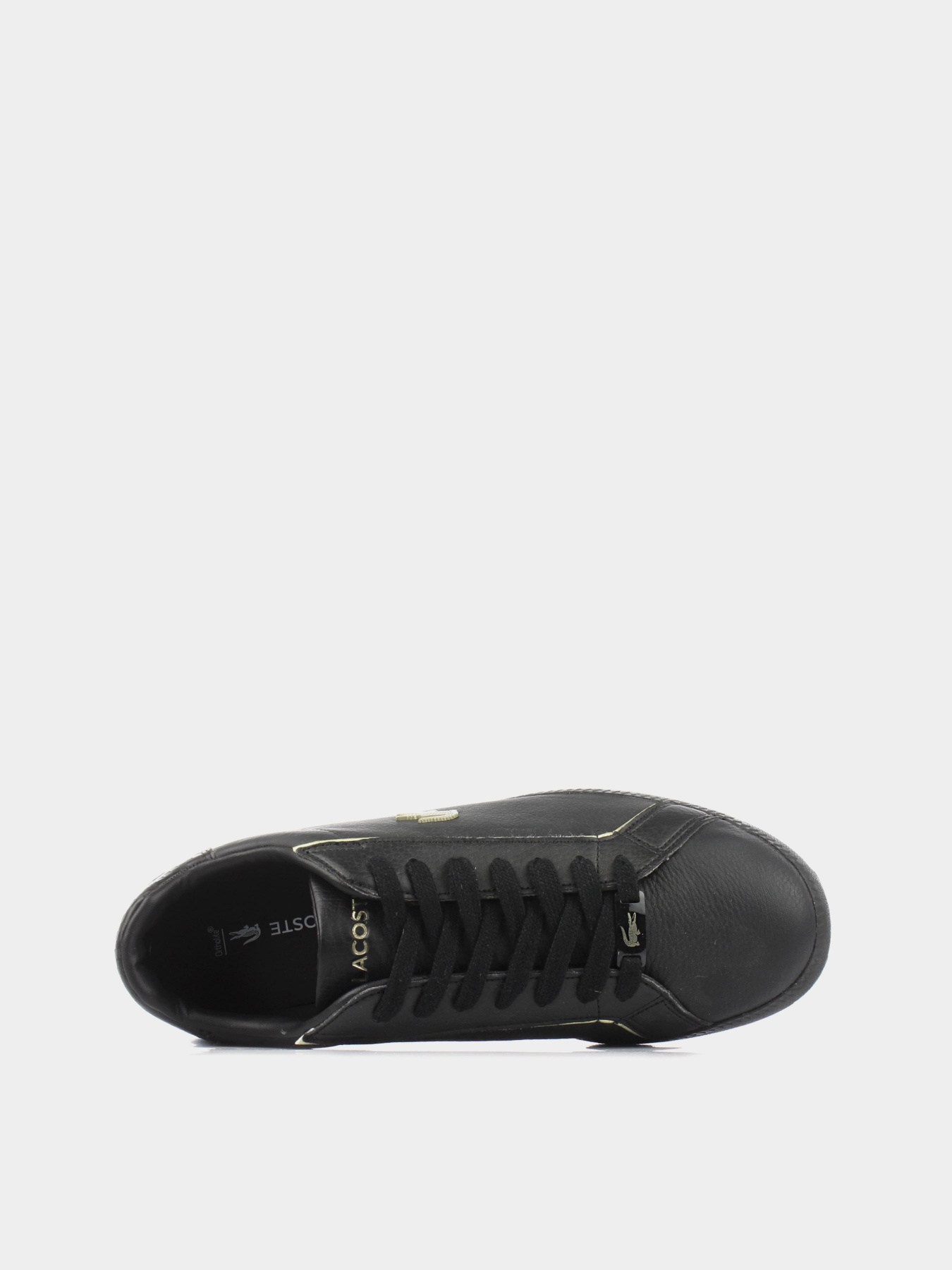 Кеды Lacoste Graduate модель 741SFA007702H Кеды Lacoste Graduate модель 741SFA007702H Фото