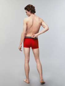 Нижнее белье Lacoste BOXER модель 5H3386W34 Фото