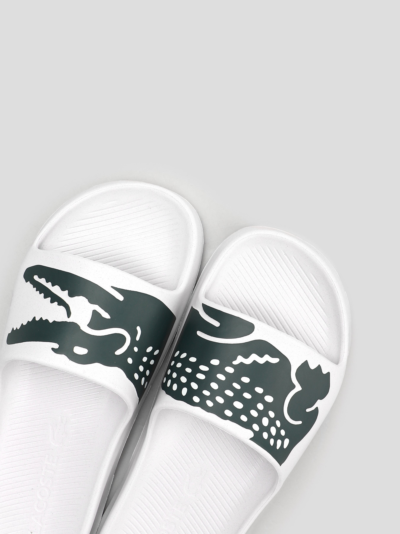 Шльопанці Lacoste CROCO 2.0 модель 741CFA00351R5 Шльопанці Lacoste CROCO 2.0 модель 741CFA00351R5 Фото