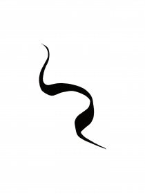 Подводка для глаз жидкая Intense Precision Eyeliner LUMENE модель 6412600858259 Фото
