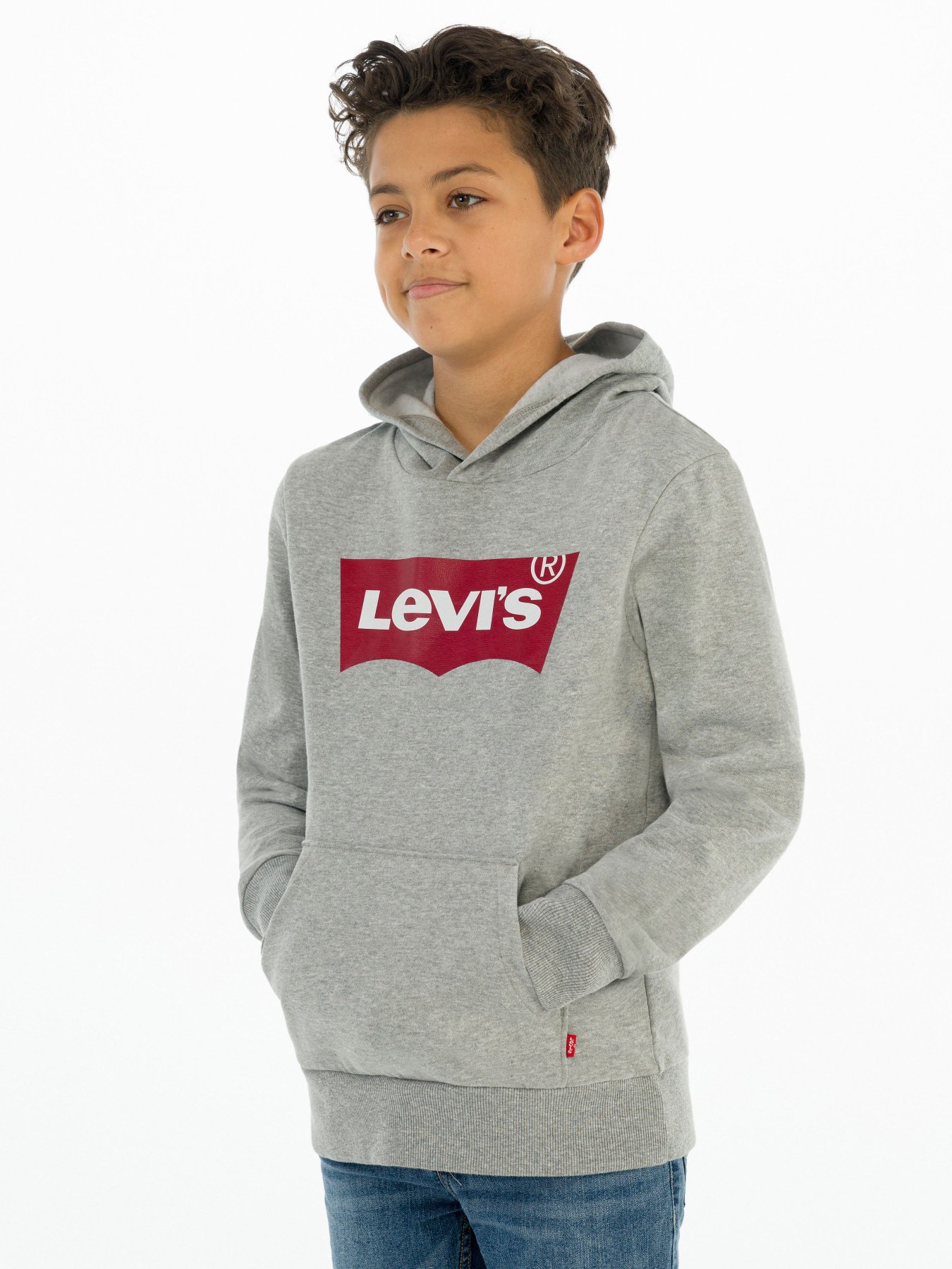 Худі та світшоти Levi's Lvb-Batwing Screenprint Hoodie модель 9E8778-C87 Фото