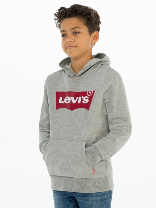 Худи и свитшоты Levi's Lvb-Batwing Screenprint Hoodie модель 9E8778-C87 Фото