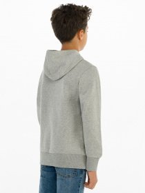 Худі та світшоти Levi's Lvb-Batwing Screenprint Hoodie модель 9E8778-C87 Фото
