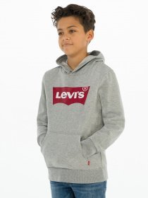 Худі та світшоти Levi's Lvb-Batwing Screenprint Hoodie модель 9E8778-C87 Фото