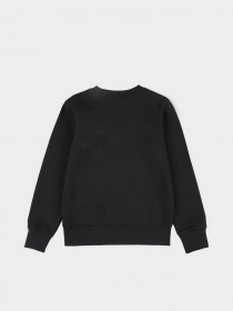 Худи и свитшоты Levi's модель 9EE331-K84 Фото