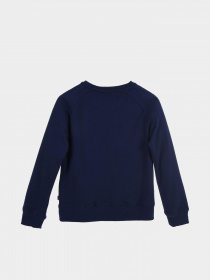 Худи и свитшоты Levi's Batwing Crewneck модель 4E6660-B9G Фото