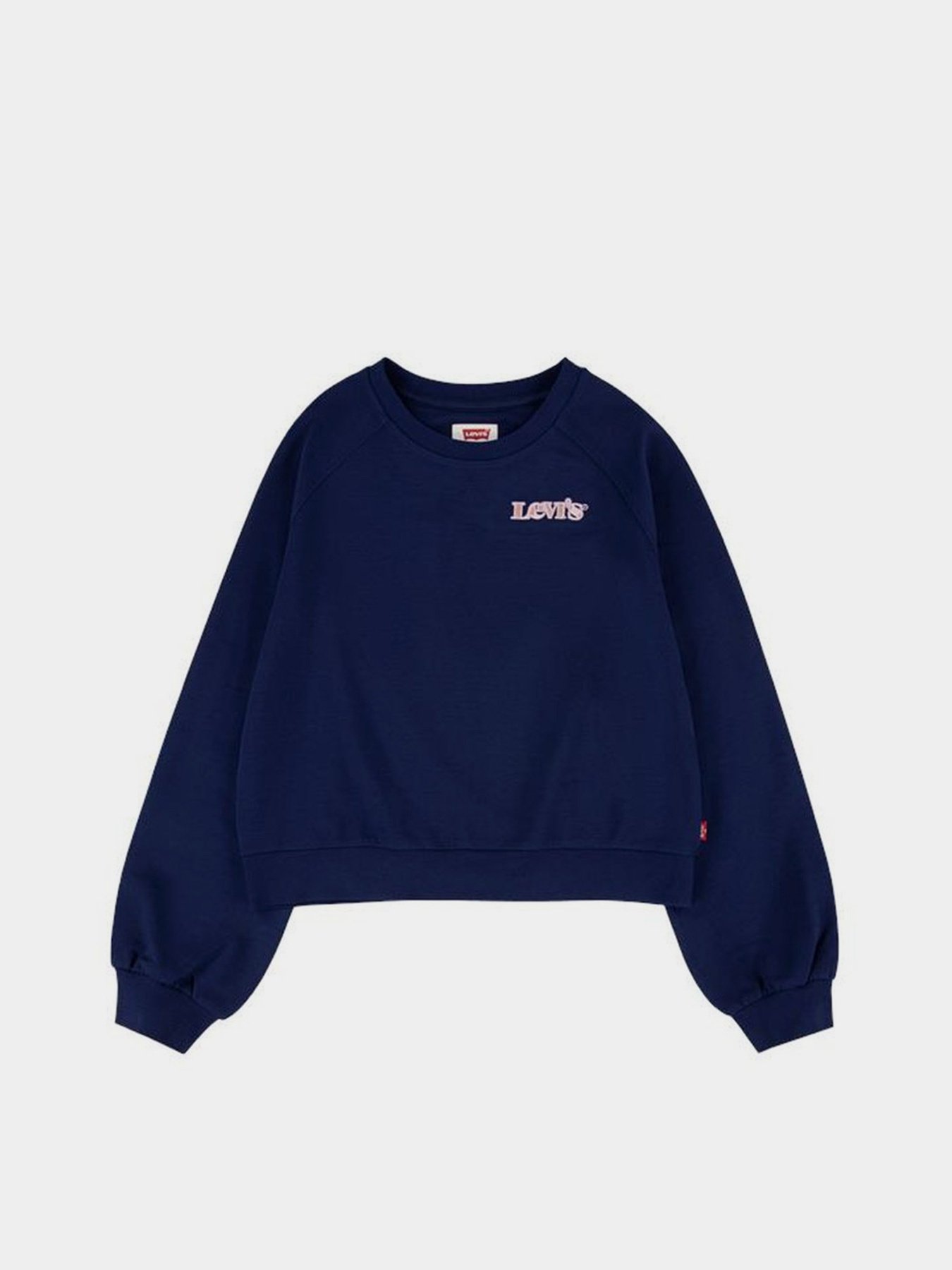Худи и свитшоты Levi's Benchwarmer модель 4ED497-B4M Фото