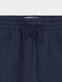 Штани Levi's модель 8EJ763-C8D Фото