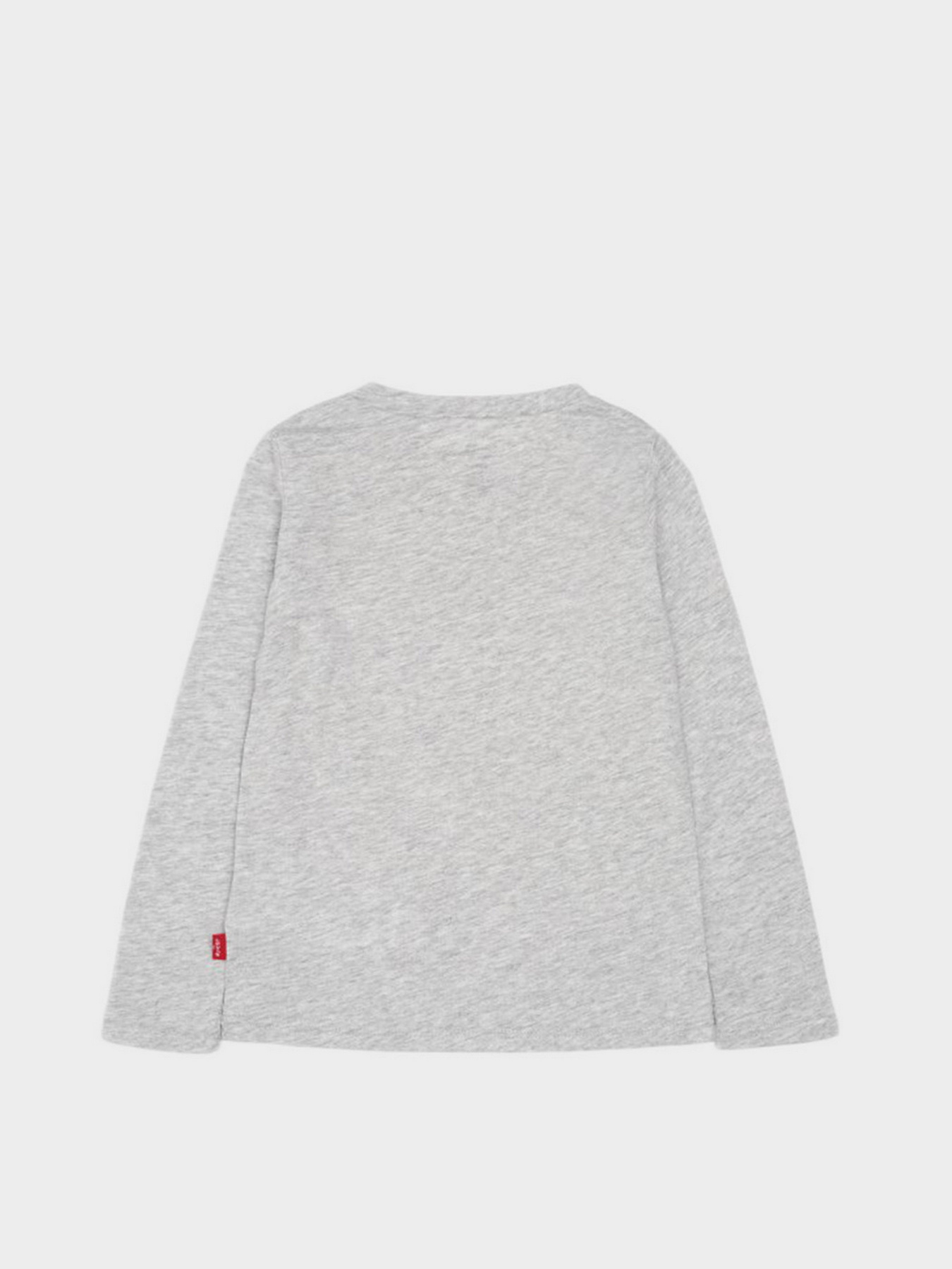 Худи и свитшоты Levi's Batwing модель 3EA643-G2H Фото