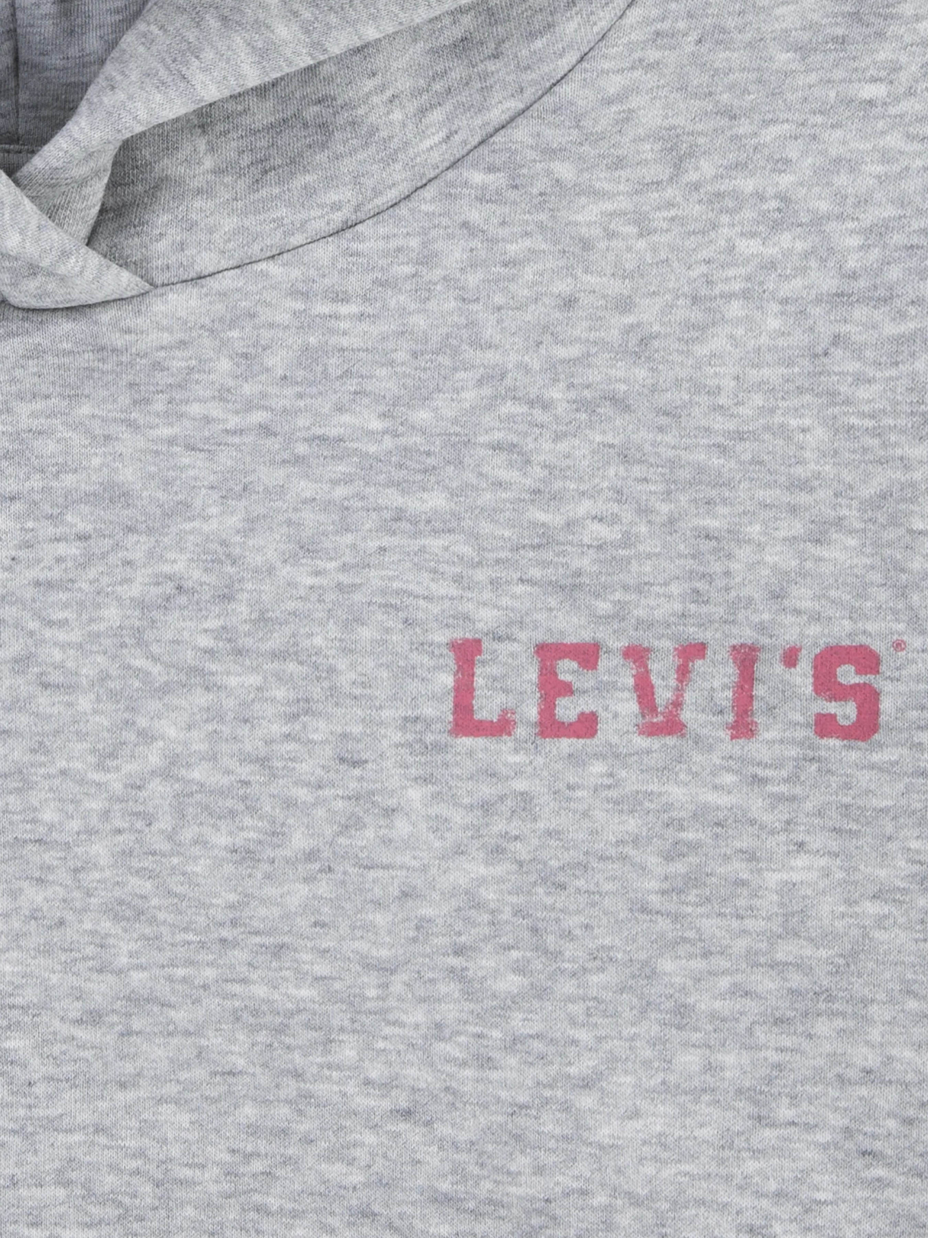 Худі та світшоти Levi's модель 4EL076-G2H Худі та світшоти Levi's модель 4EL076-G2H Фото
