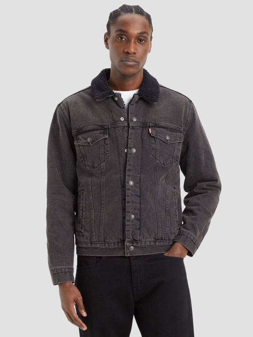 Куртки та дублянки Levi's модель 16365;0241 Фото