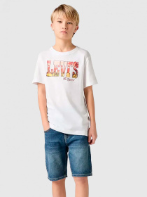 Шорти Levi's модель 9EM374-DC3 Фото