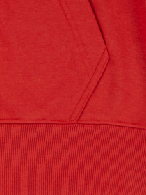 Худи и свитшоты Levi's модель 9EK422-R58 Фото