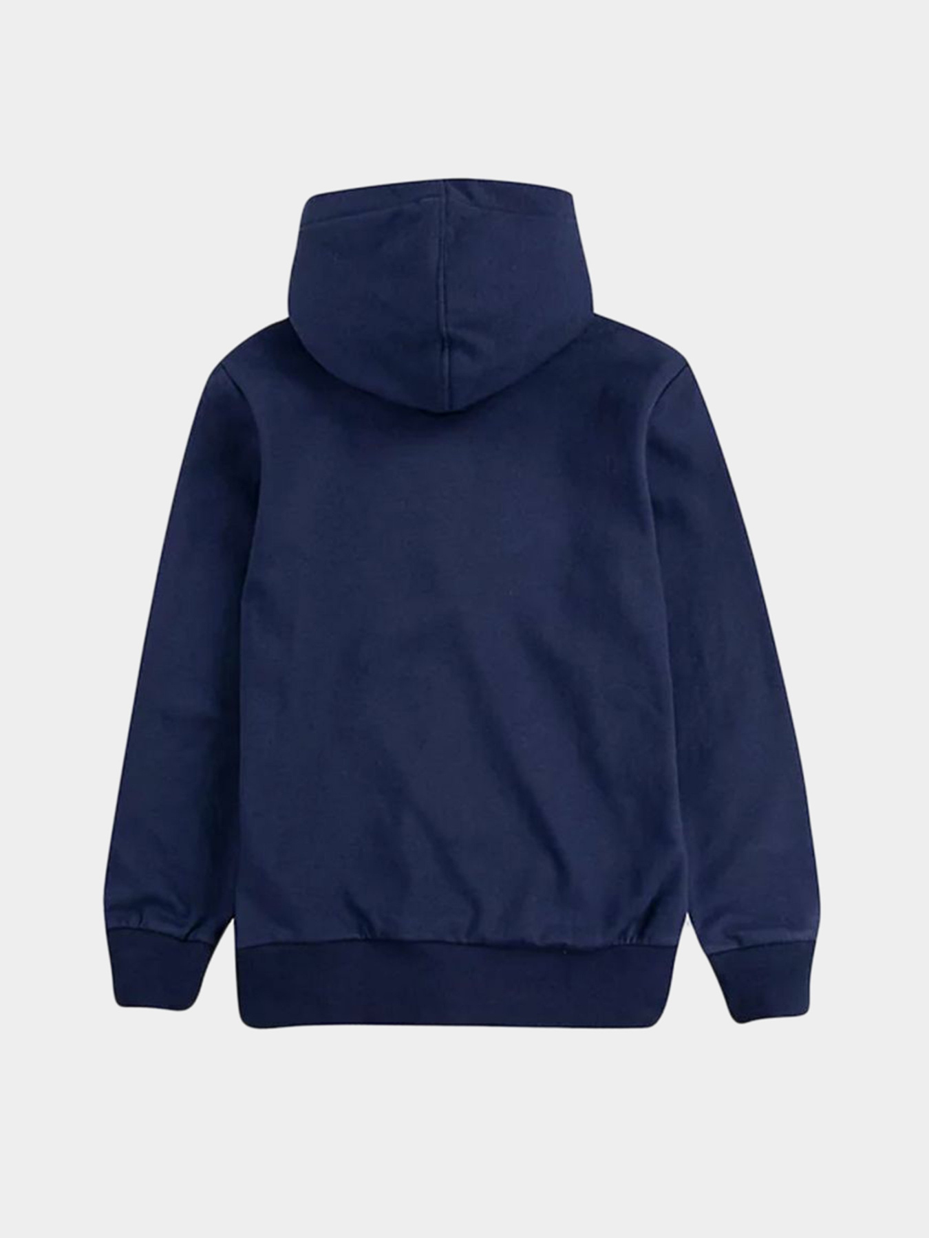 Худі та світшоти Levi's модель 9E8778-C8D Фото