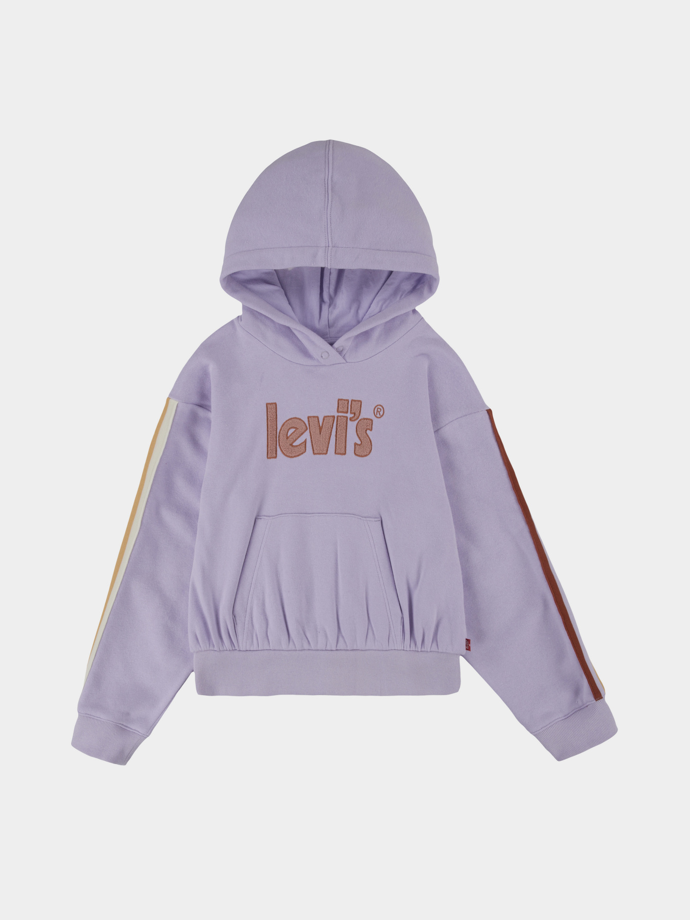 Худі та світшоти Levi's LVG модель 3EF631-P4N Фото